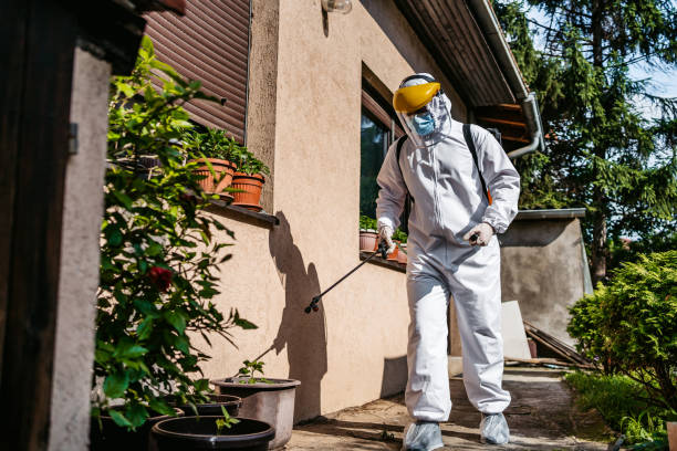 Best Termite Control Services  in Morristown, TN
