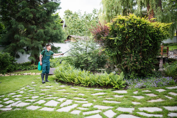 Best Wildlife Control Services  in Morristown, TN