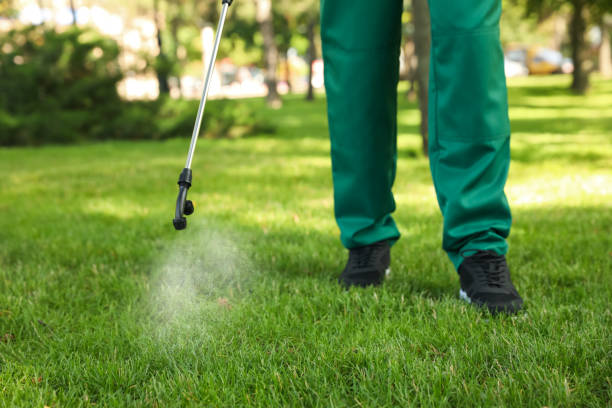 Best Affordable Pest Control Services  in Morristown, TN