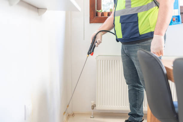 Best Wasp Removal Services  in Morristown, TN