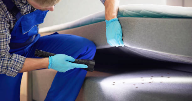 Morristown, TN Pest Control Company