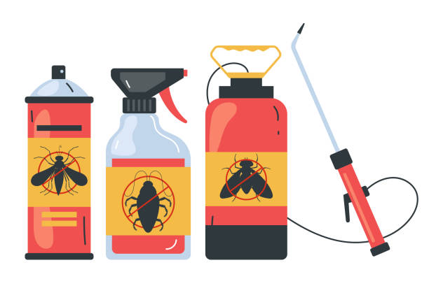 Flea Control Services in Morristown, TN